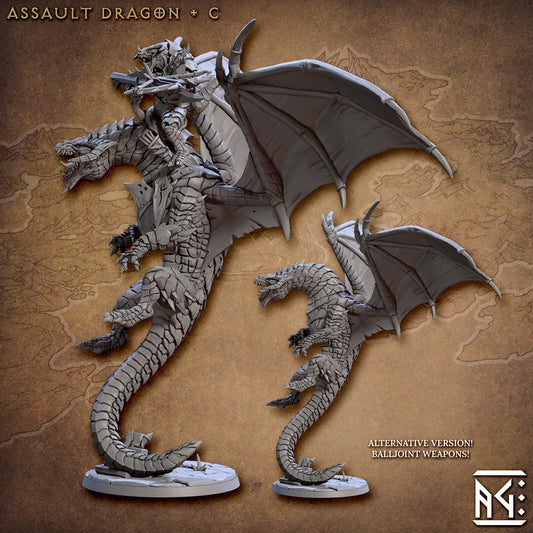 Assault Dragon C